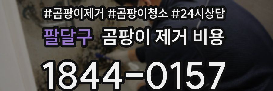 팔달구 곰팡이 제거 비용