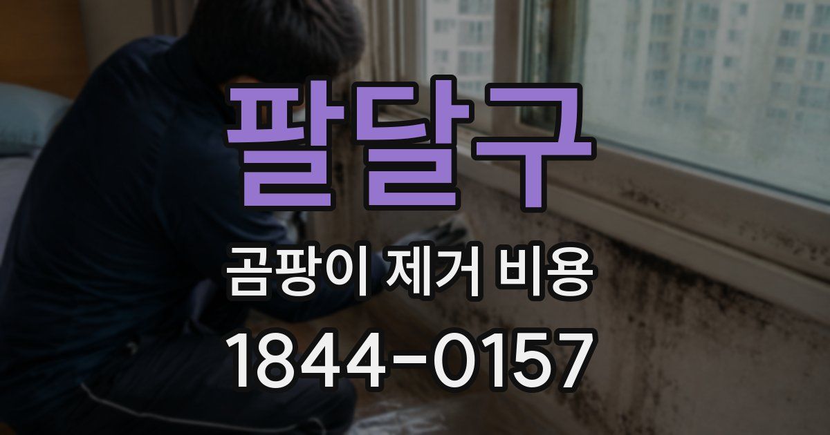 팔달구 곰팡이 제거 비용