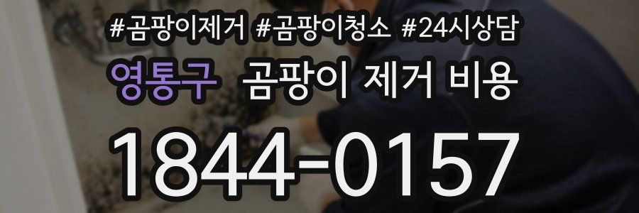 영통구 곰팡이 제거 비용