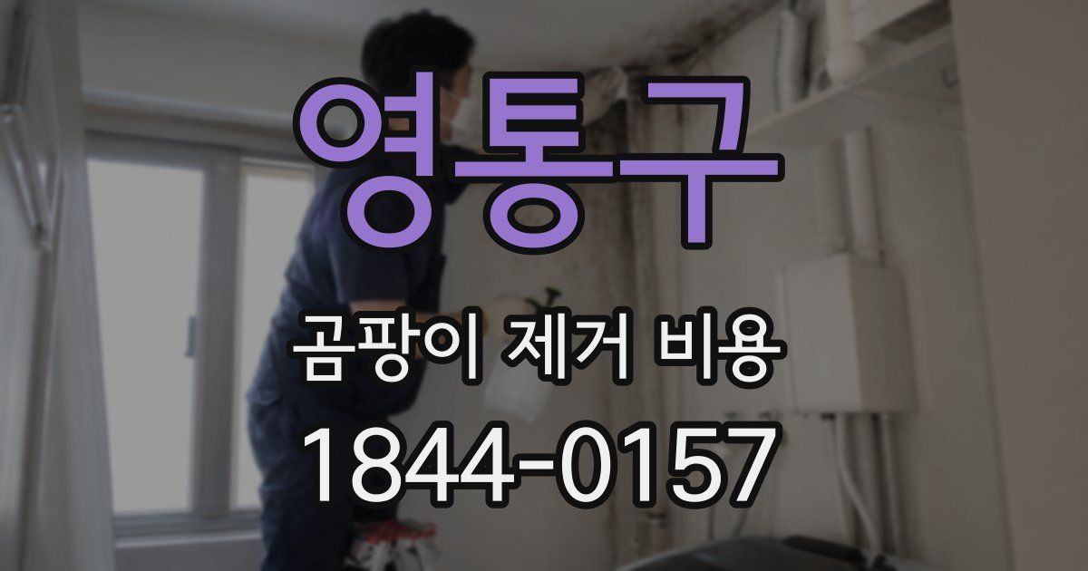 영통구 곰팡이 제거 비용