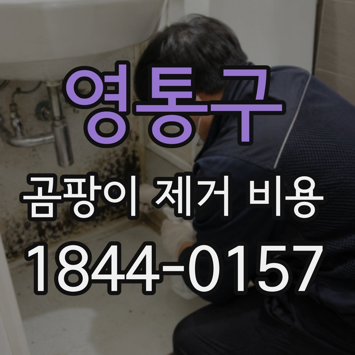 영통구 곰팡이 제거 비용