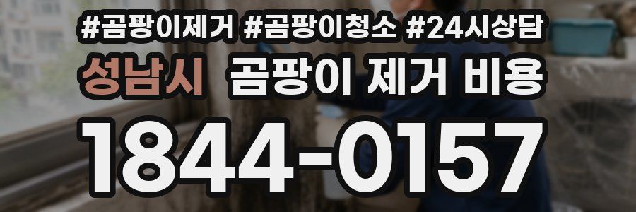 성남시 곰팡이 제거 비용