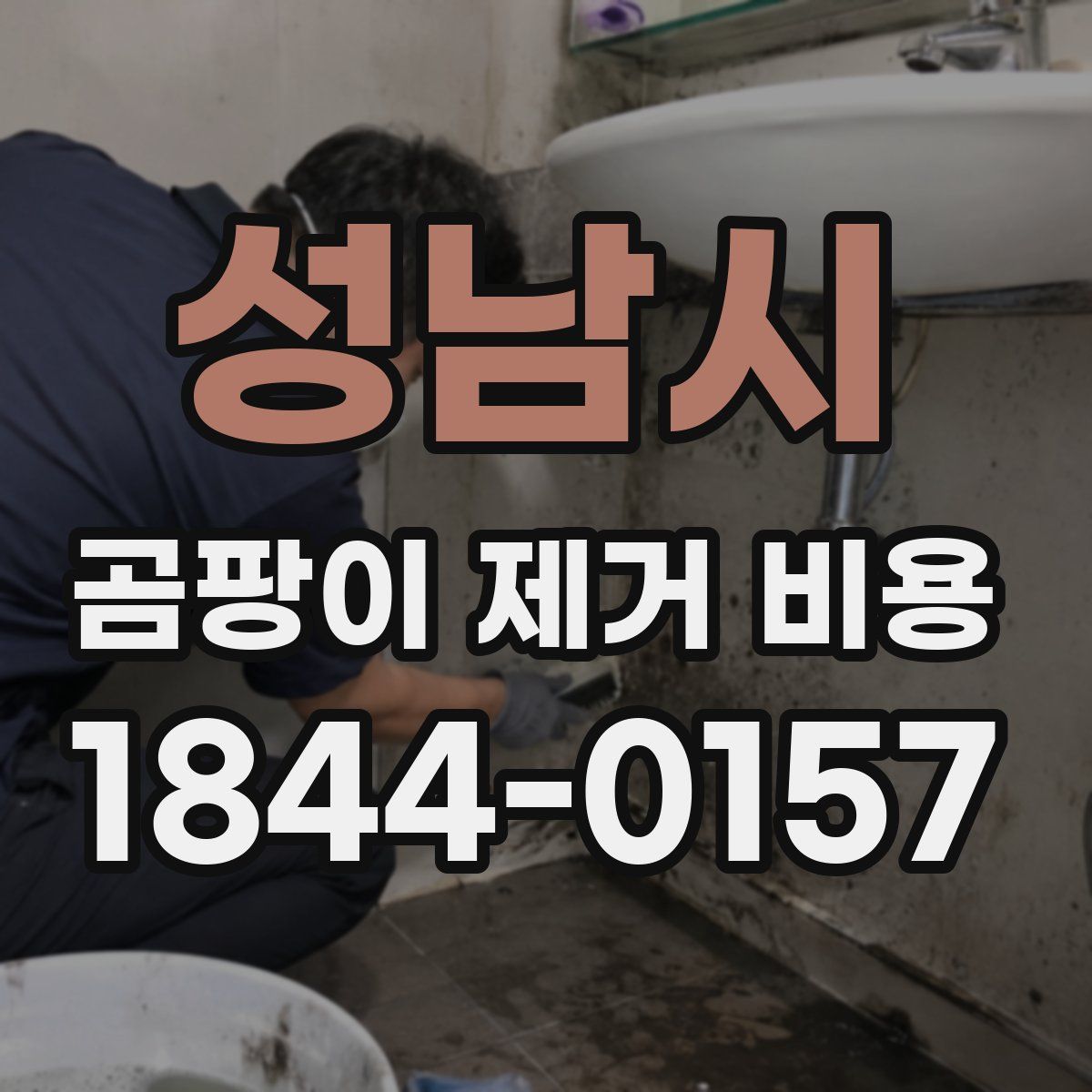 성남시 곰팡이 제거 비용