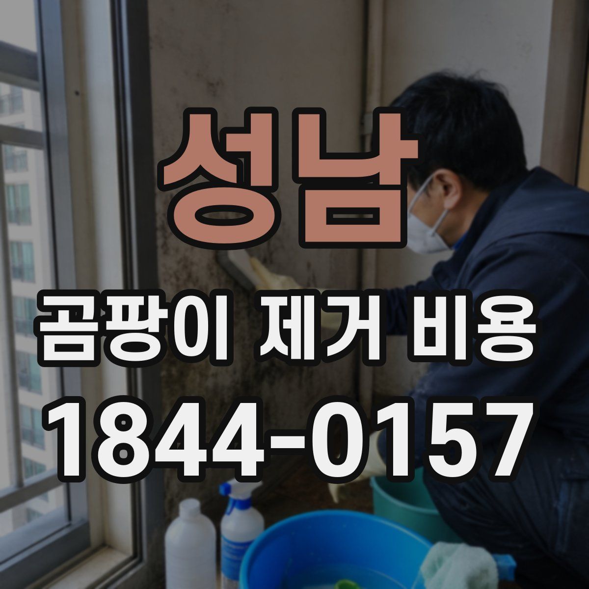 성남 곰팡이 제거 비용