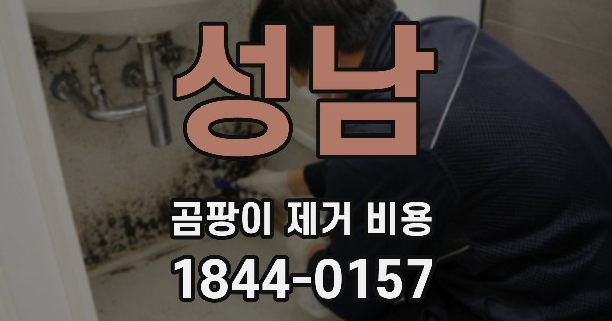 성남 곰팡이 제거 비용