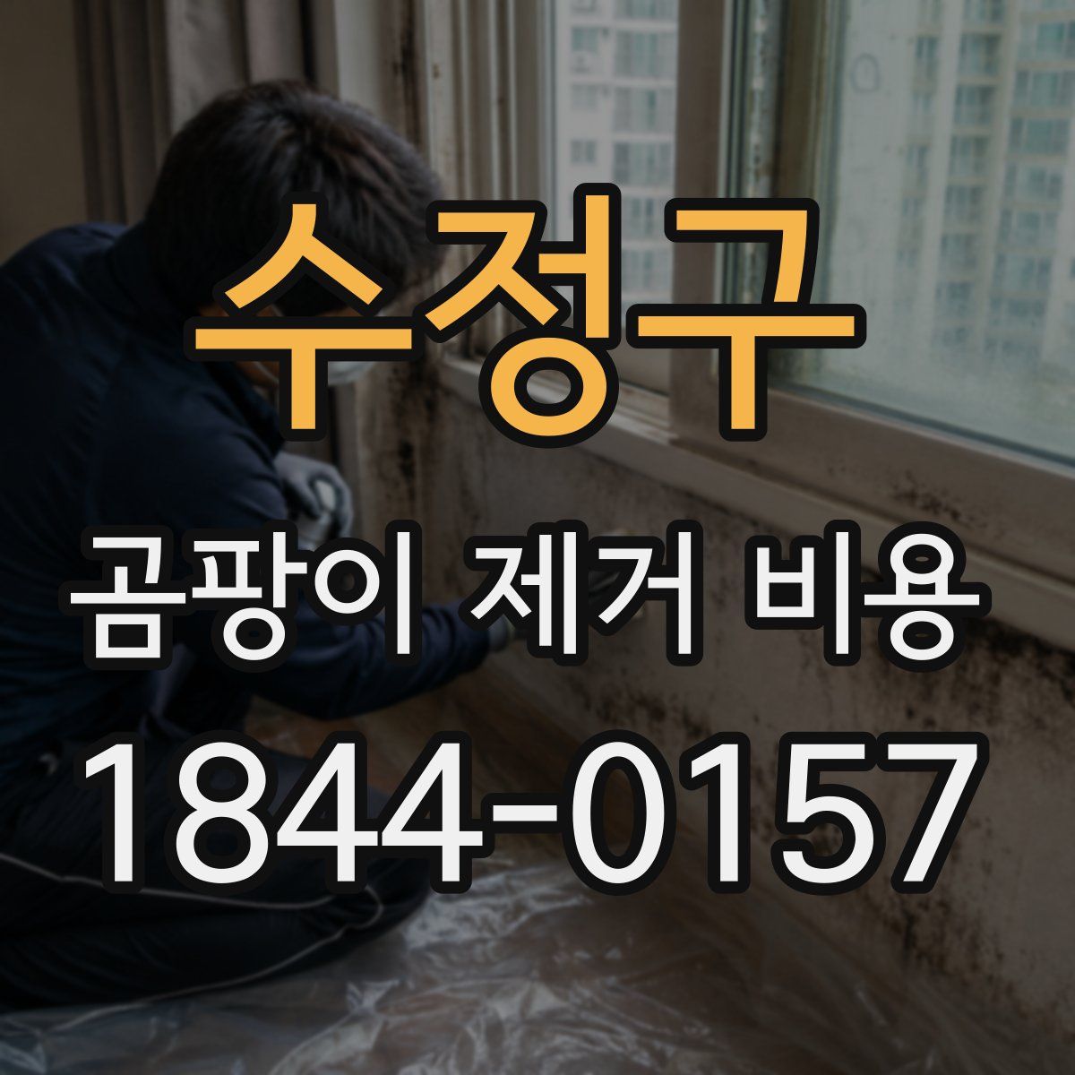 수정구 곰팡이 제거 비용