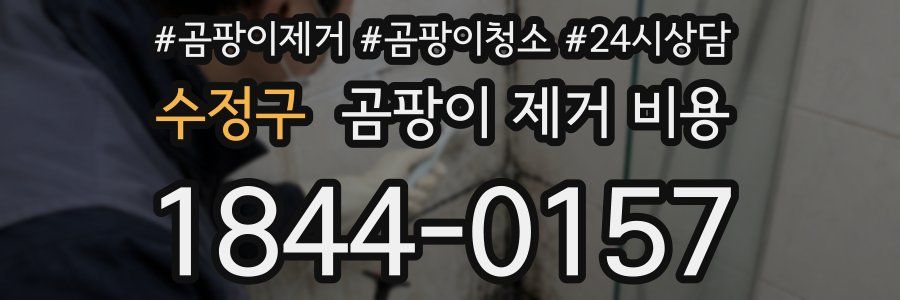 수정구 곰팡이 제거 비용
