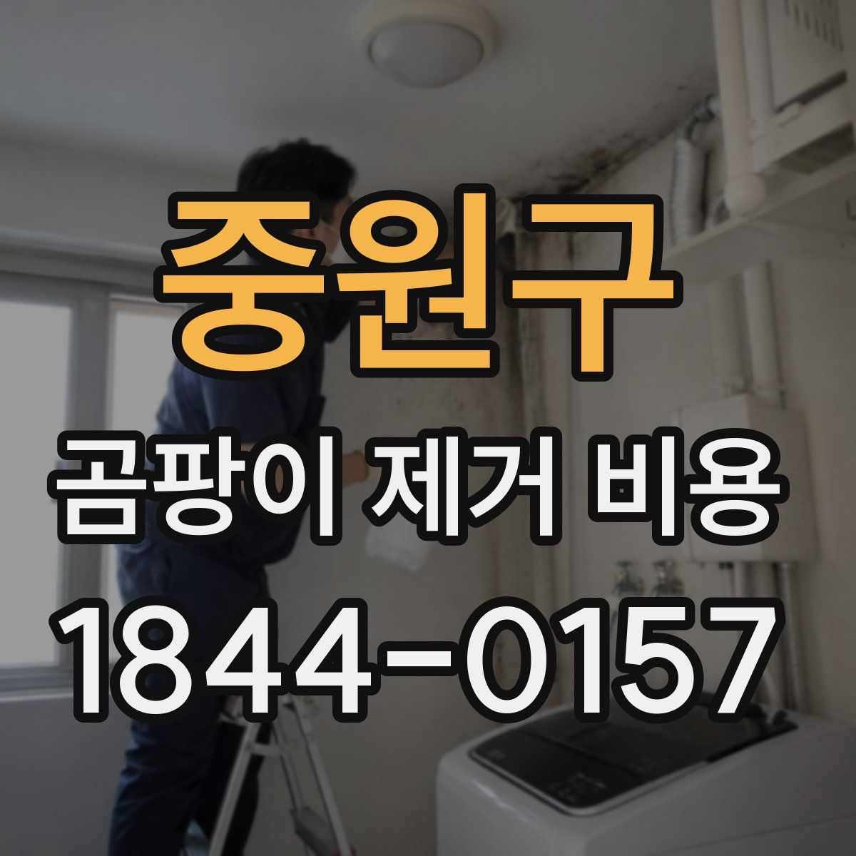 중원구 곰팡이 제거 비용