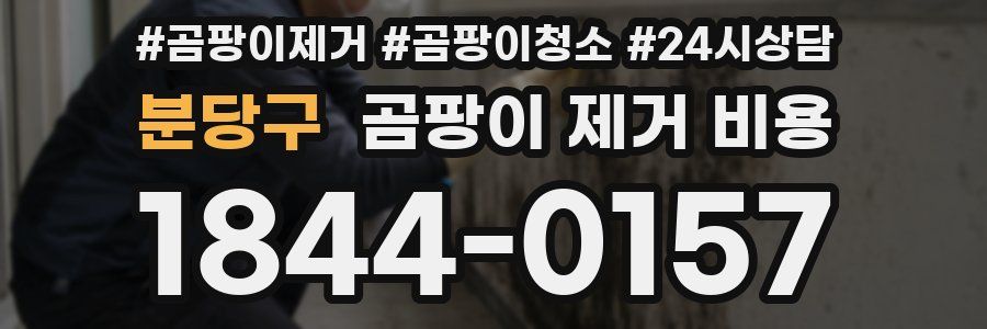분당구 곰팡이 제거 비용