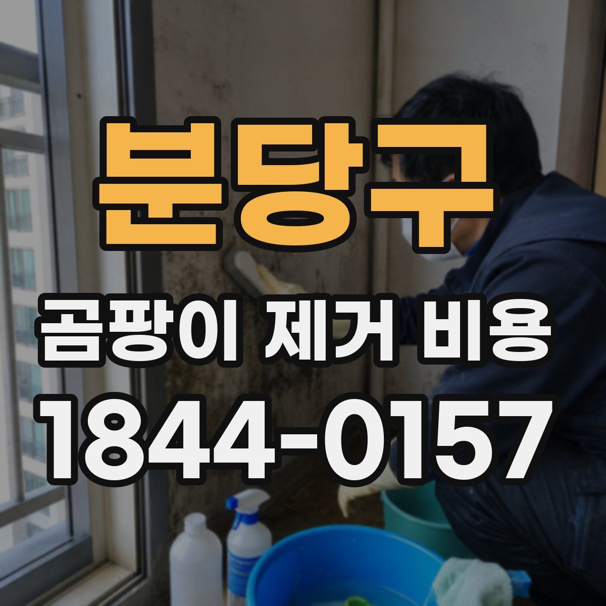 분당구 곰팡이 제거 비용