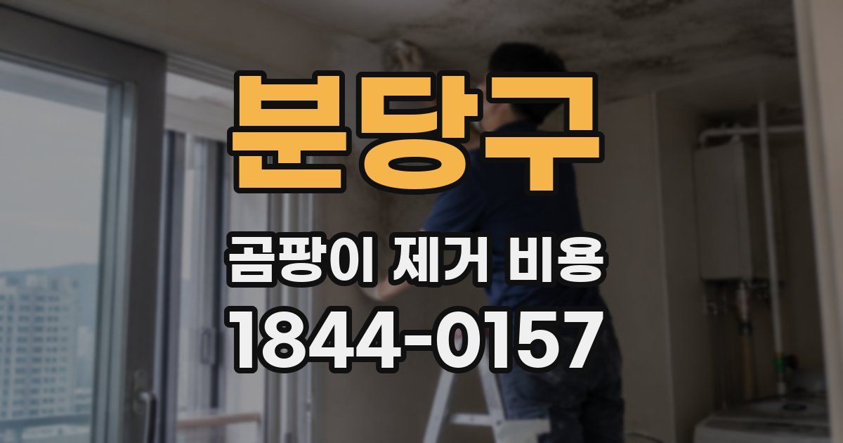 분당구 곰팡이 제거 비용