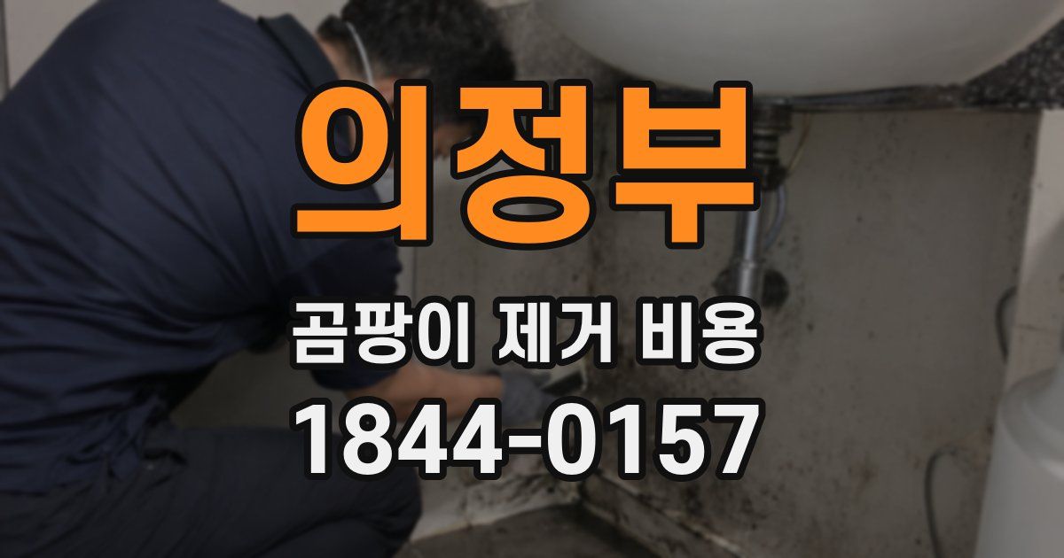 의정부 곰팡이 제거 비용