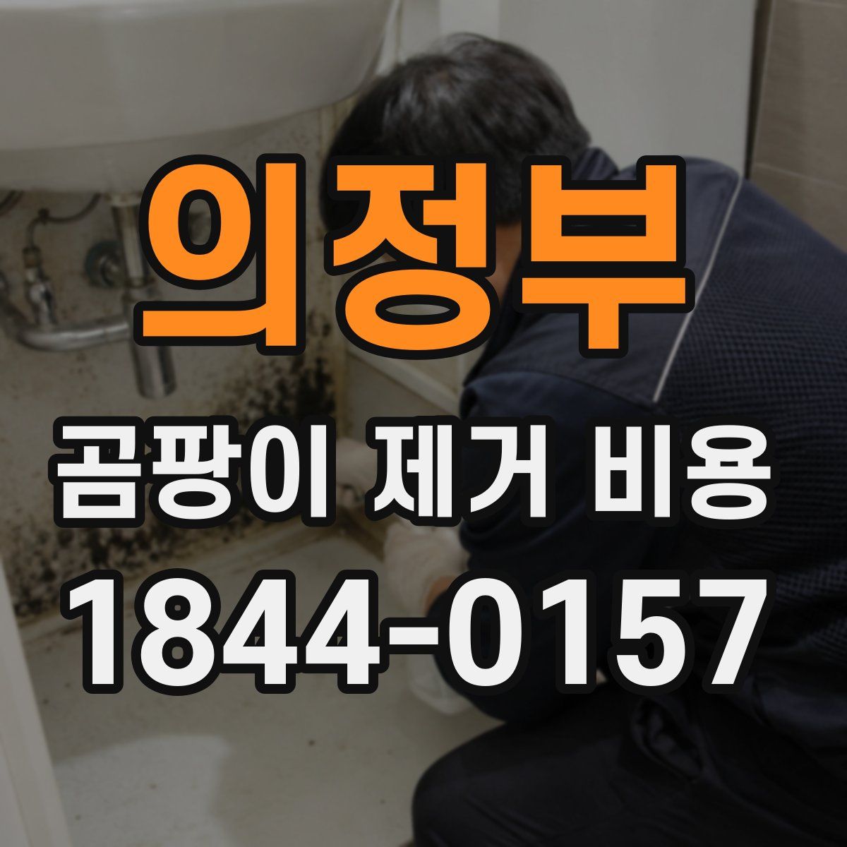 의정부 곰팡이 제거 비용