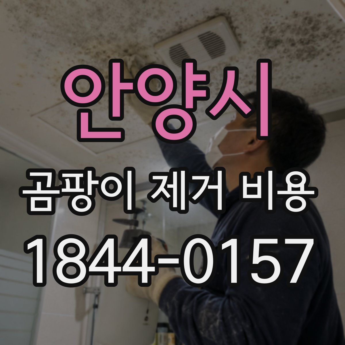 안양시 곰팡이 제거 비용