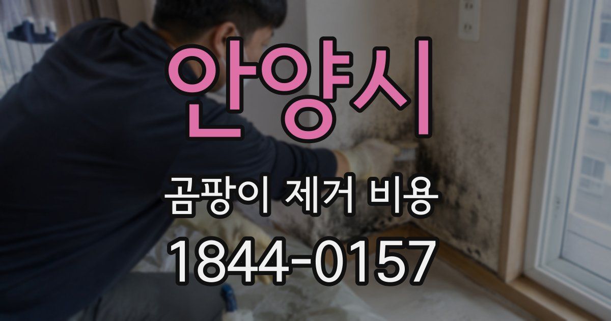 안양시 곰팡이 제거 비용