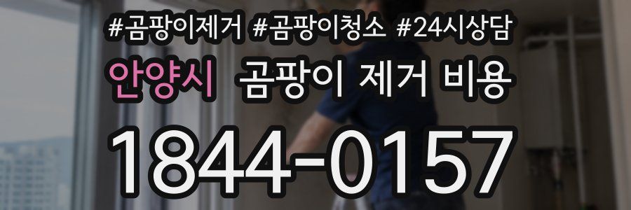 안양시 곰팡이 제거 비용