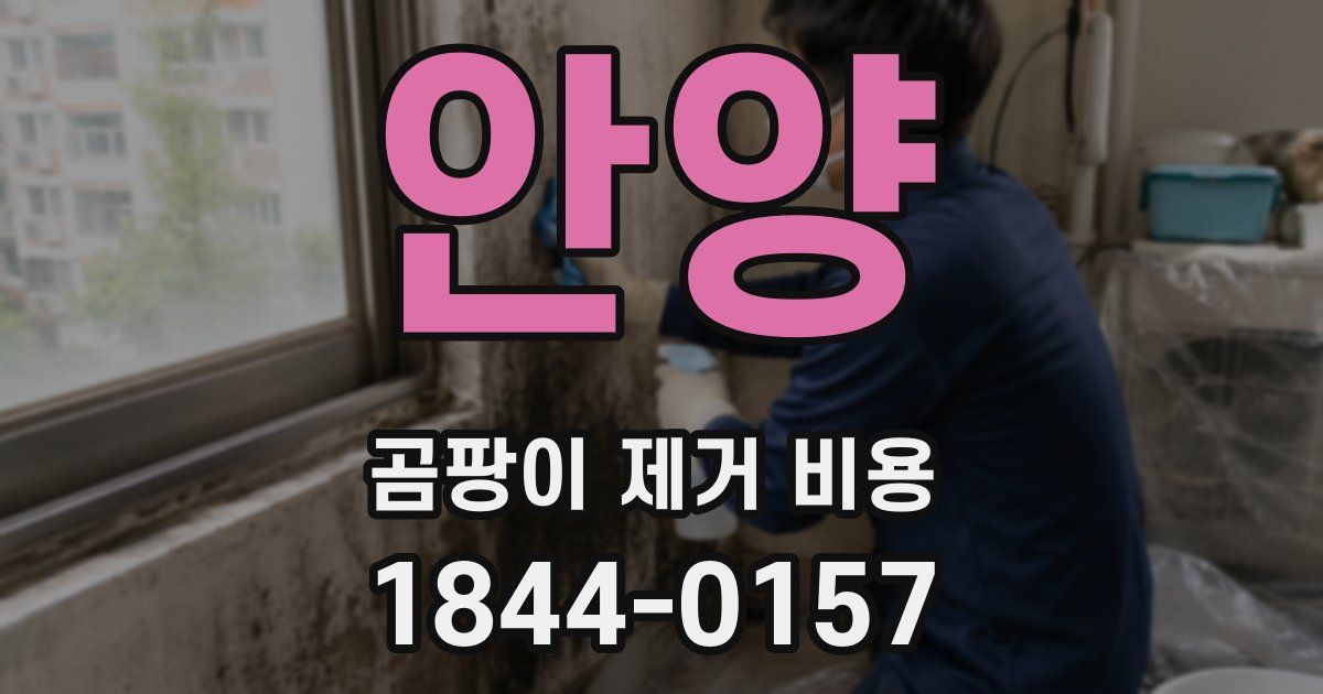 안양 곰팡이 제거 비용