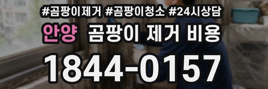 안양 곰팡이 제거 비용
