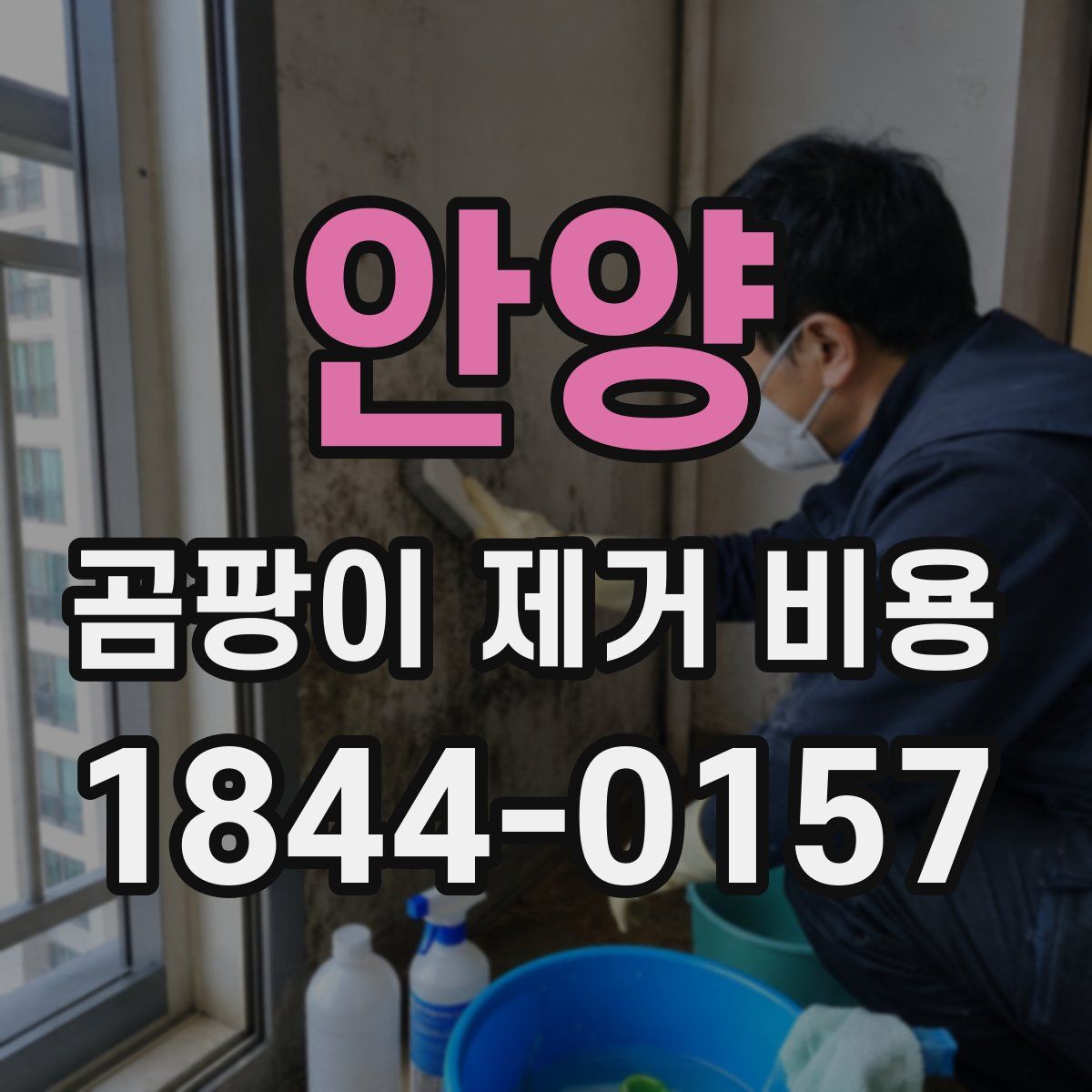 안양 곰팡이 제거 비용