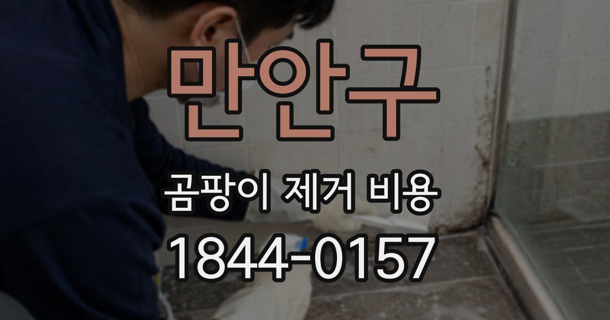 만안구 곰팡이 제거 비용