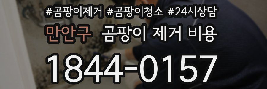 만안구 곰팡이 제거 비용