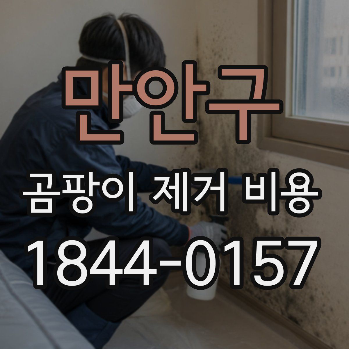 만안구 곰팡이 제거 비용