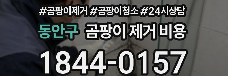 동안구 곰팡이 제거 비용