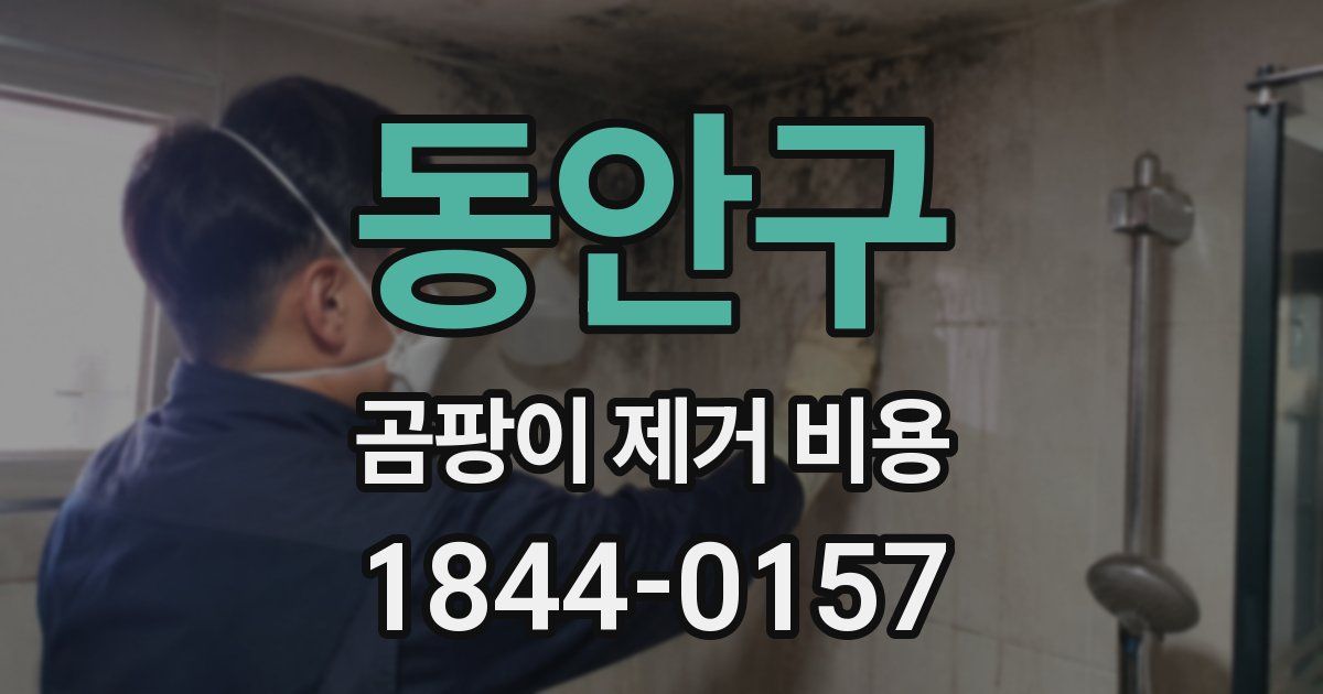 동안구 곰팡이 제거 비용
