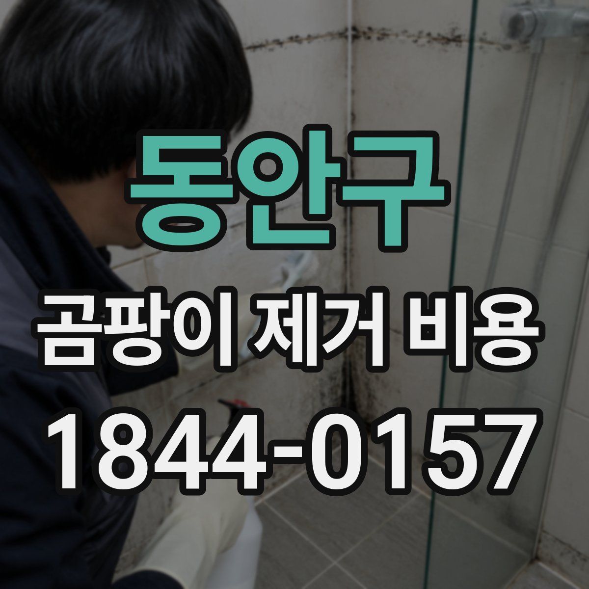 동안구 곰팡이 제거 비용