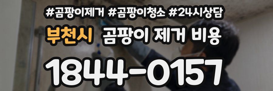 부천시 곰팡이 제거 비용