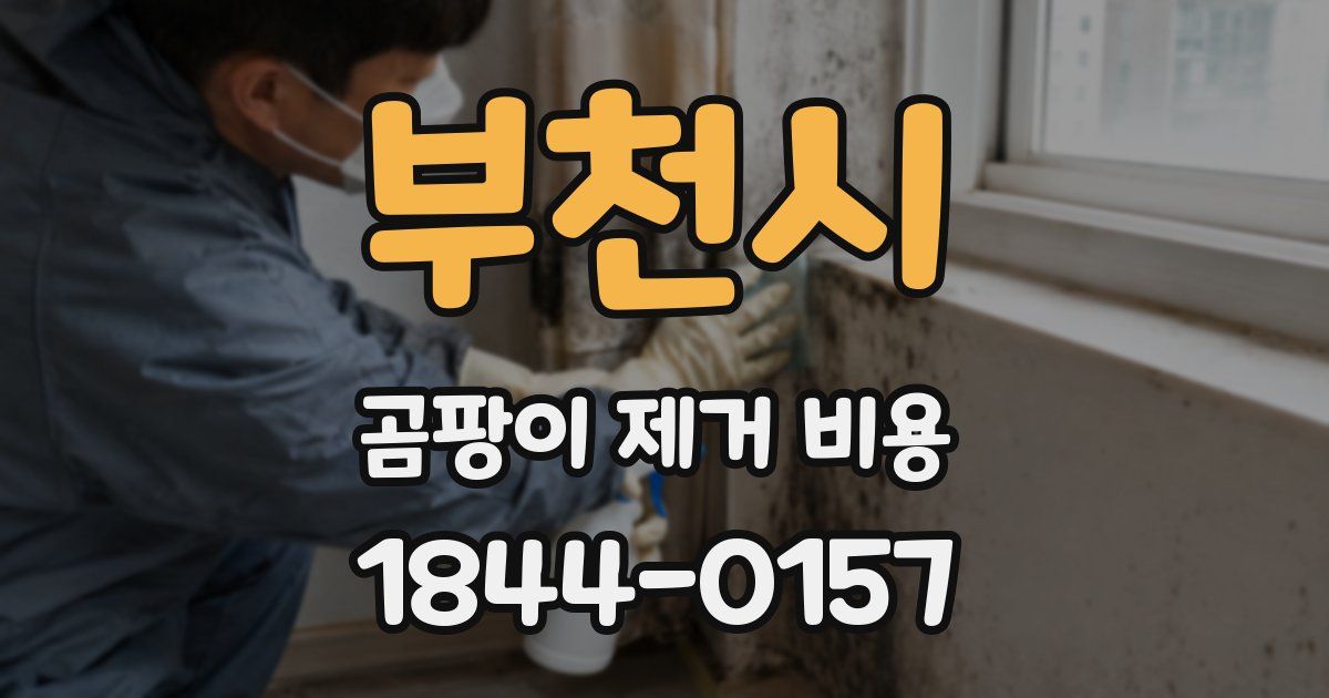 부천시 곰팡이 제거 비용