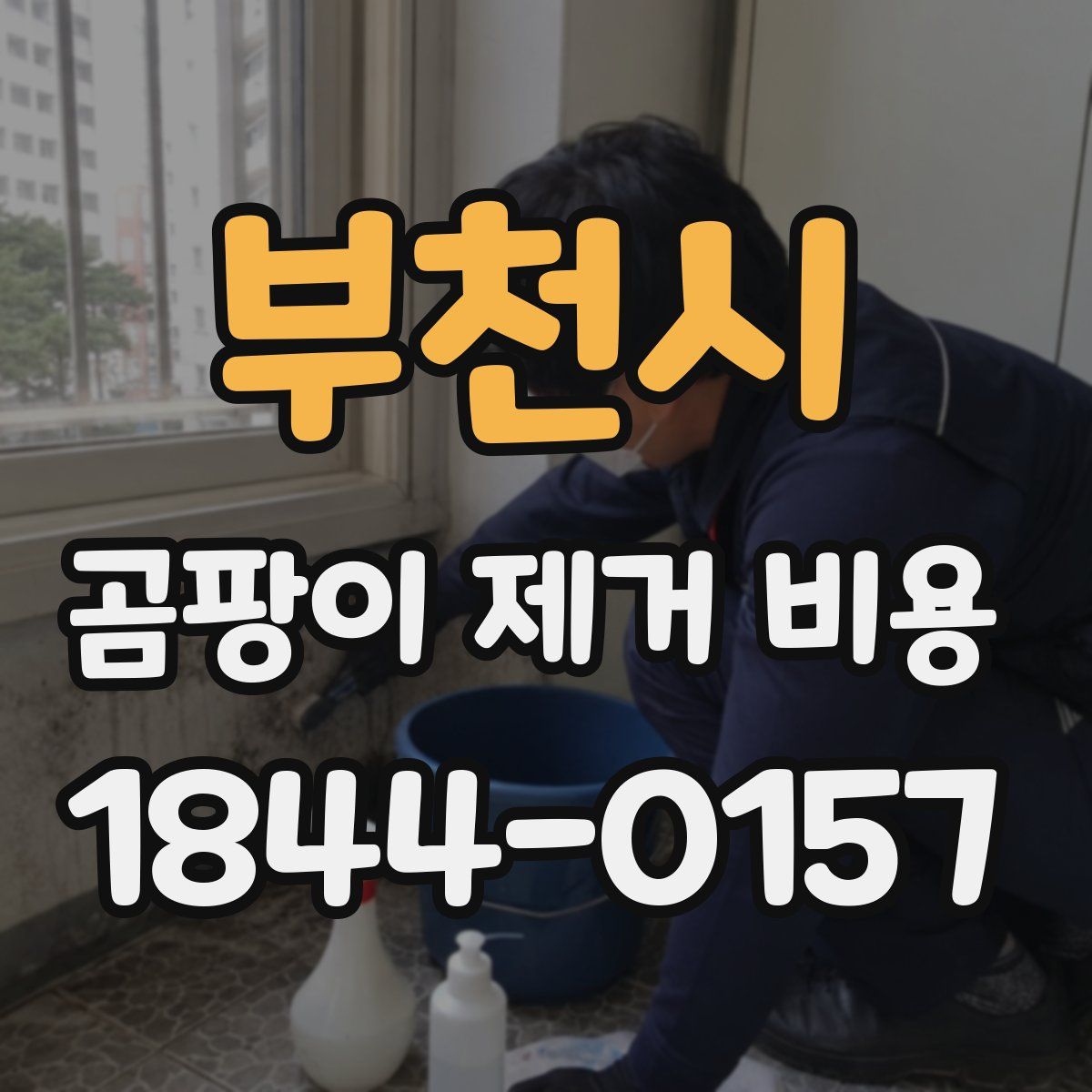 부천시 곰팡이 제거 비용