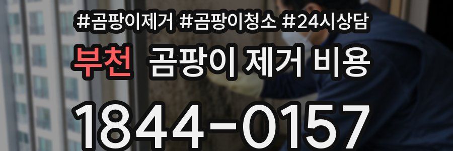 부천 곰팡이 제거 비용
