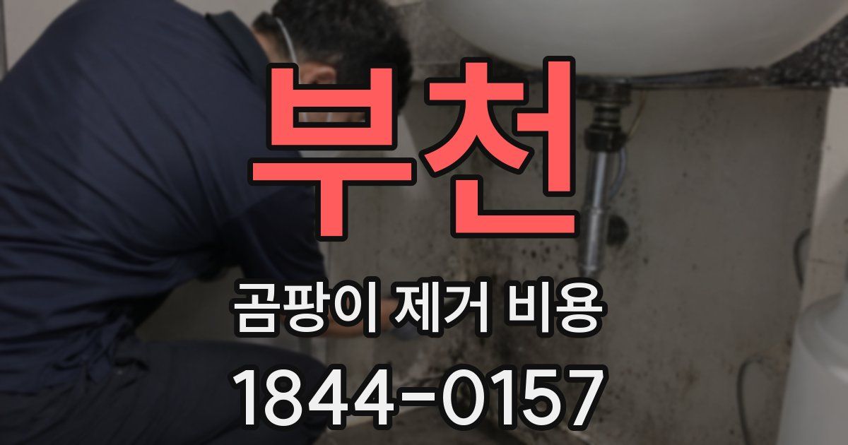 부천 곰팡이 제거 비용