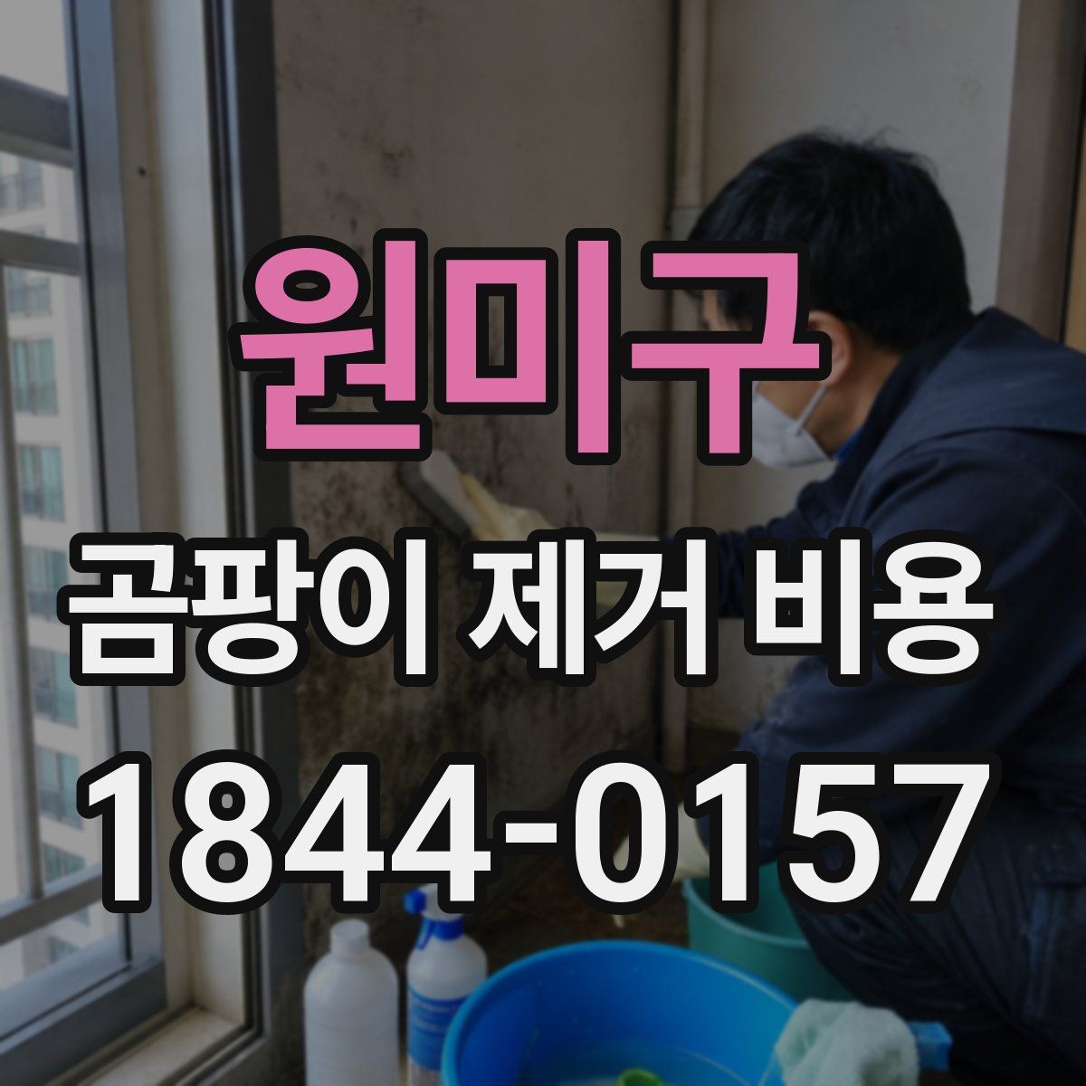 원미구 곰팡이 제거 비용