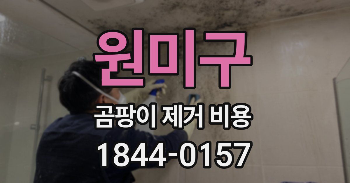 원미구 곰팡이 제거 비용