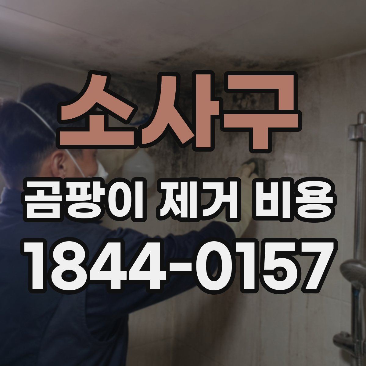 소사구 곰팡이 제거 비용 오염 면적과 작업 범위를 함께 따져보는 법