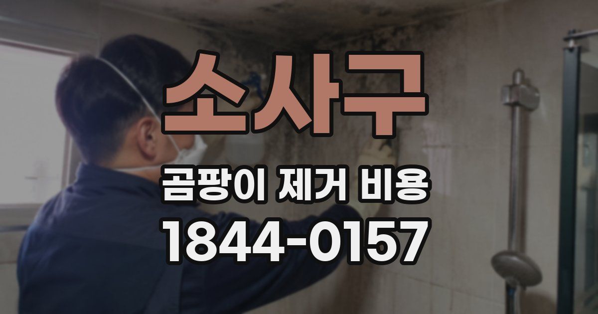 소사구 곰팡이 제거 비용