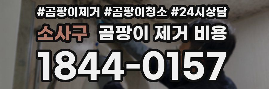 소사구 곰팡이 제거 비용