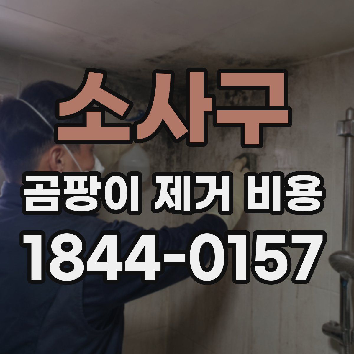 소사구 곰팡이 제거 비용
