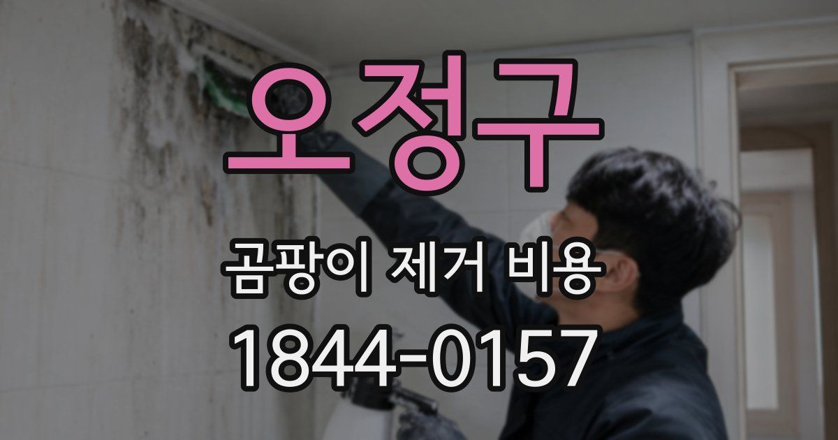 오정구 곰팡이 제거 비용