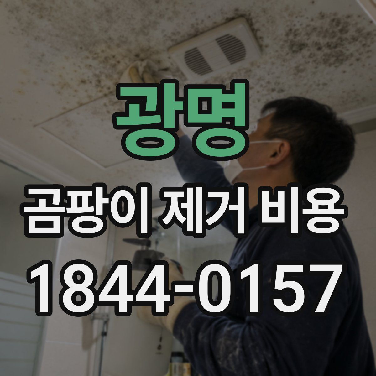 광명 곰팡이 제거 비용