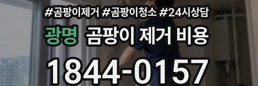 광명 곰팡이 제거 비용