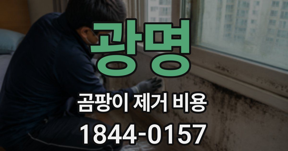 광명 곰팡이 제거 비용