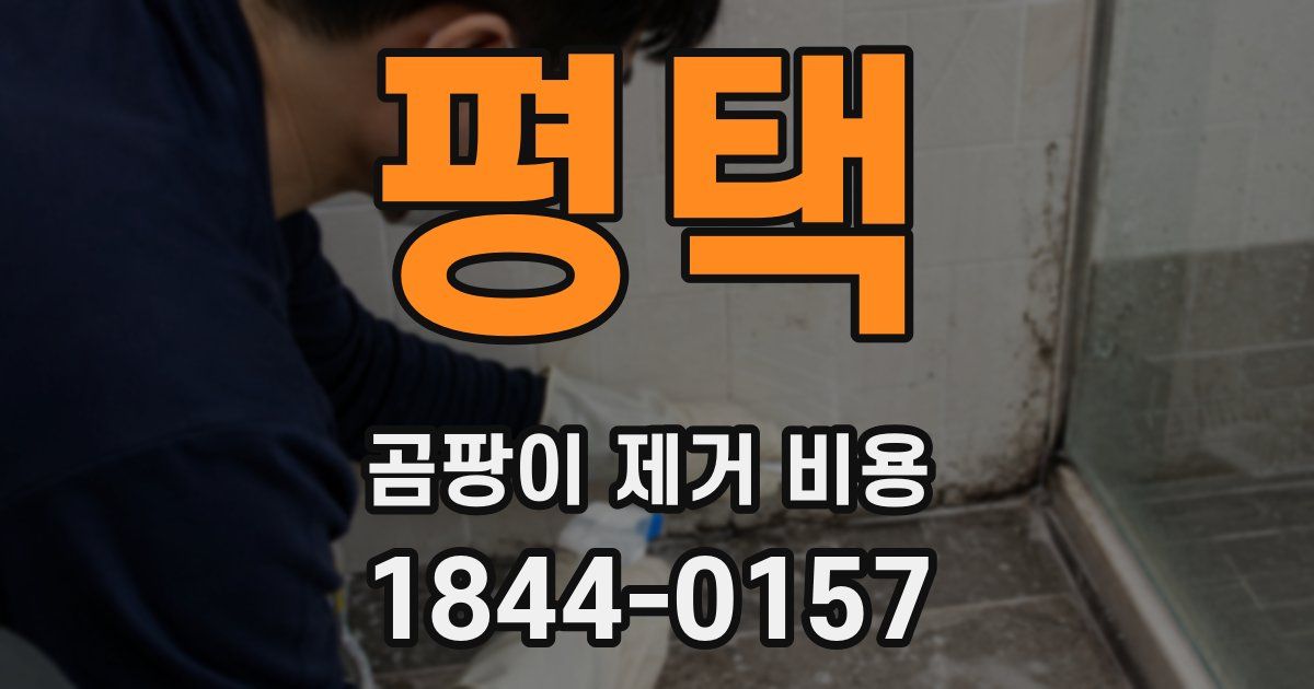 평택 곰팡이 제거 비용