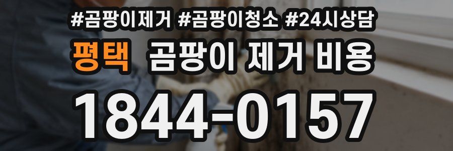 평택 곰팡이 제거 비용