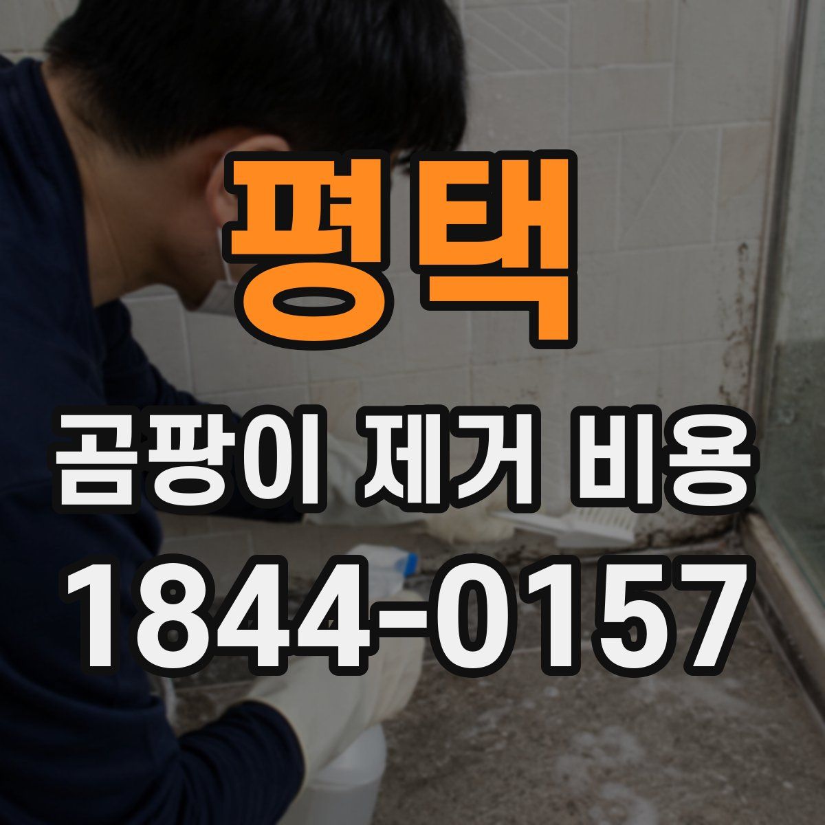 평택 곰팡이 제거 비용