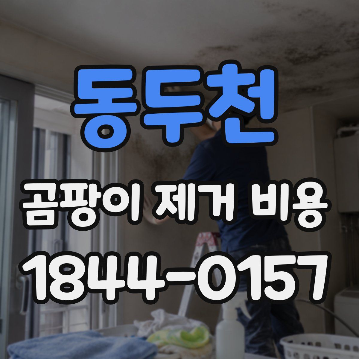 동두천 곰팡이 제거 비용