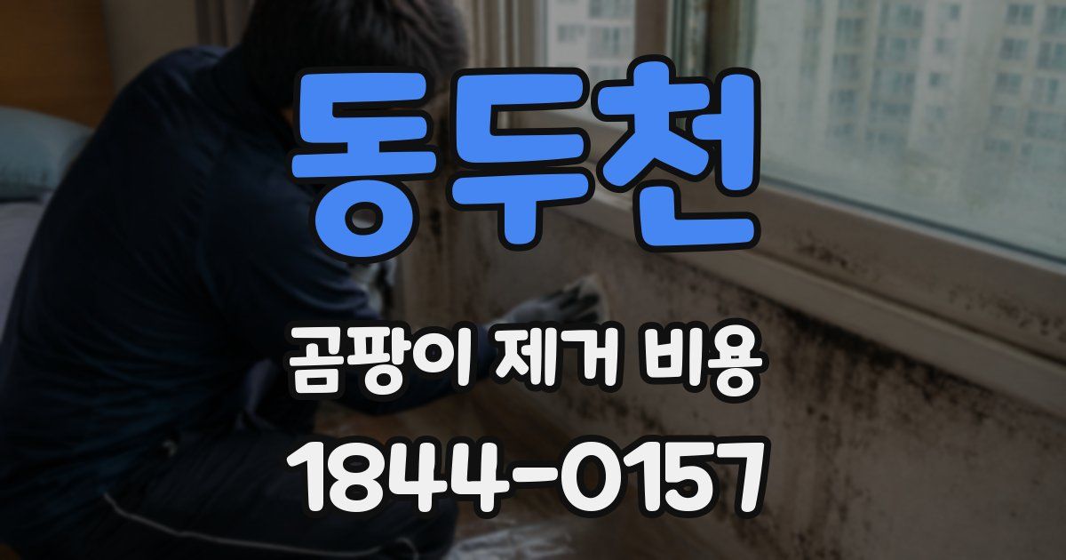 동두천 곰팡이 제거 비용
