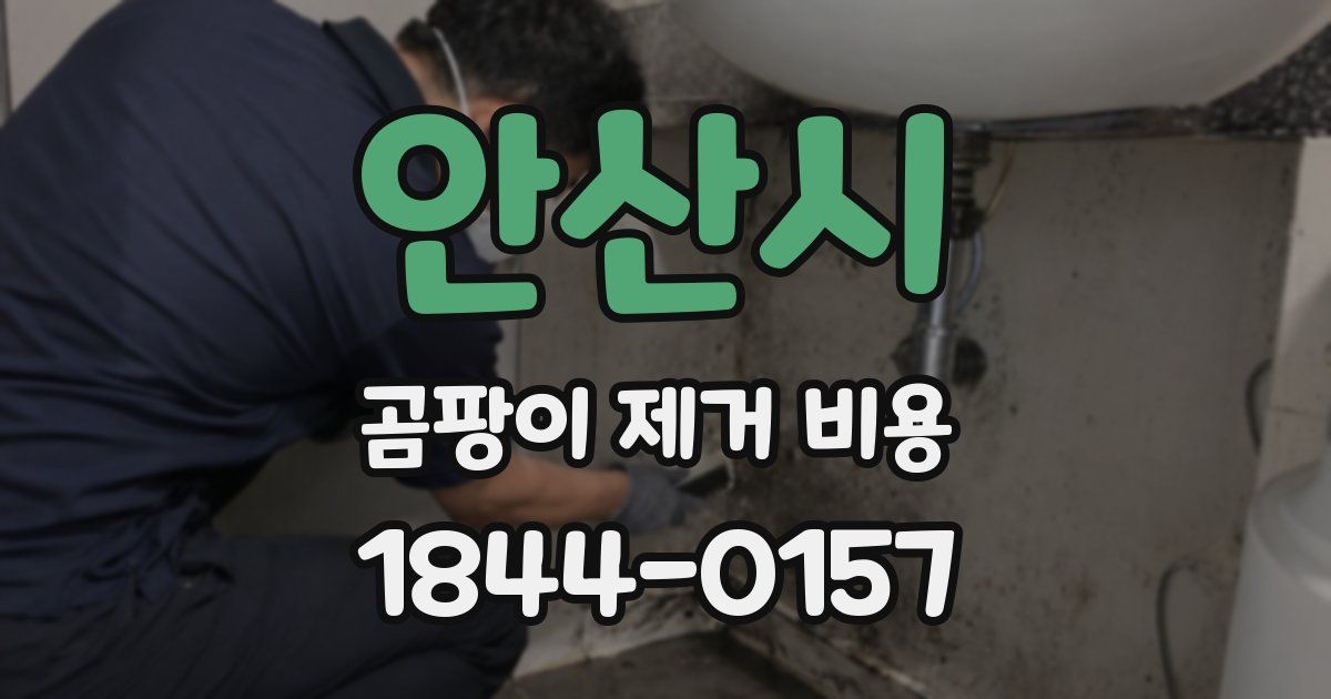 안산시 곰팡이 제거 비용